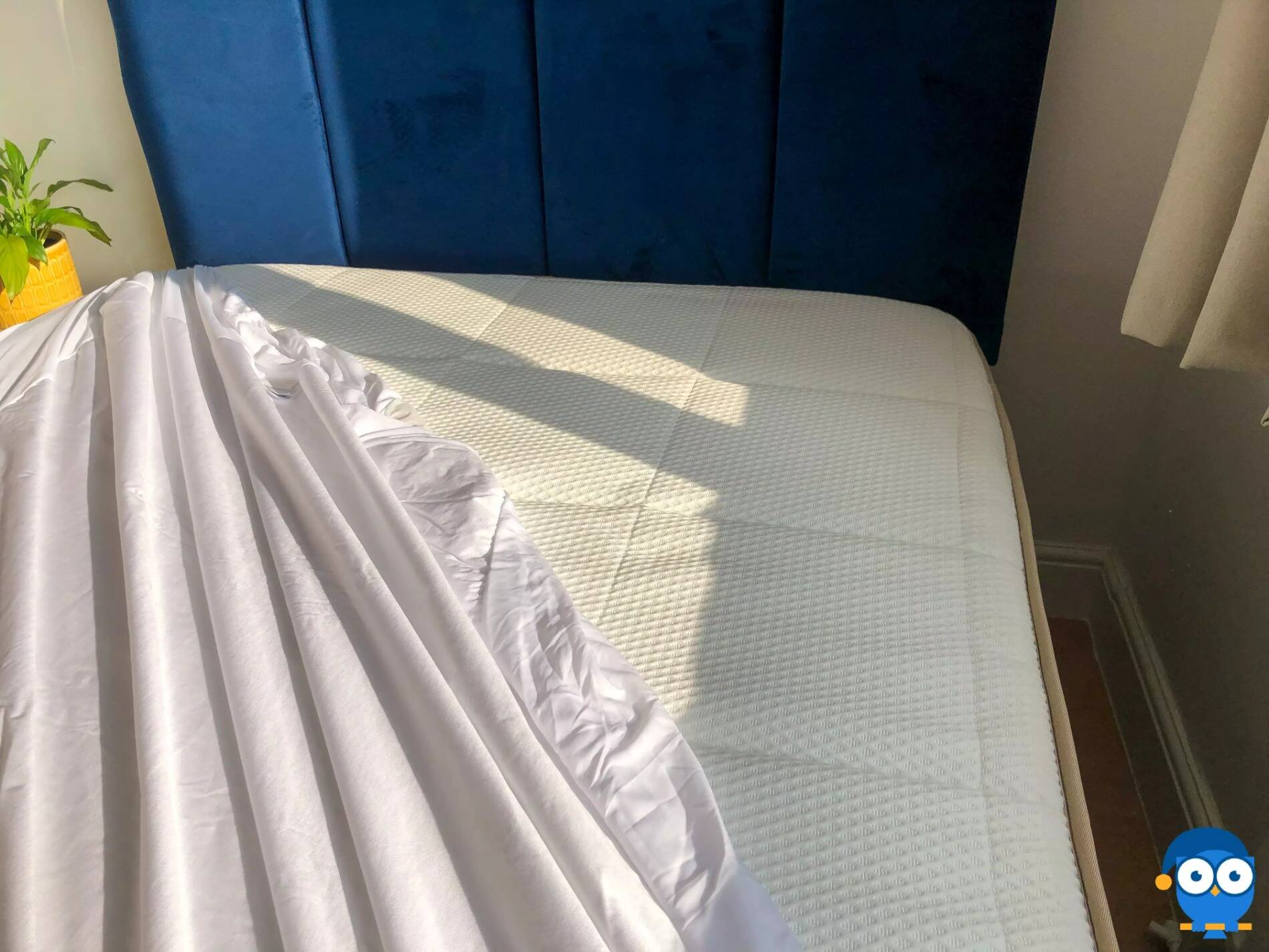 DreamCloud mattress protector half on